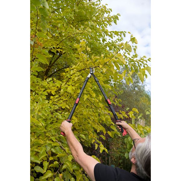 קוצץ עלים לגינה טלסקופי עד 800 מ"מ - KnuPo