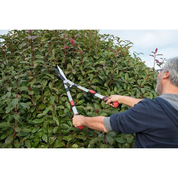 מקצועי מזמרה לגינה טלסקופי עד 790 מ"מ KRTGR3022 Varo kreator - KnuPo