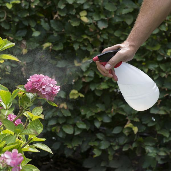 מרסס 1 ליטר לגינון KRTGR6801 Varo kreator - KnuPo