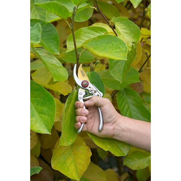 מזמרה טיטניום מקצועית ועמידה במיוחד 23 מ"מ KRTGR1021 Varo kreator - KnuPo