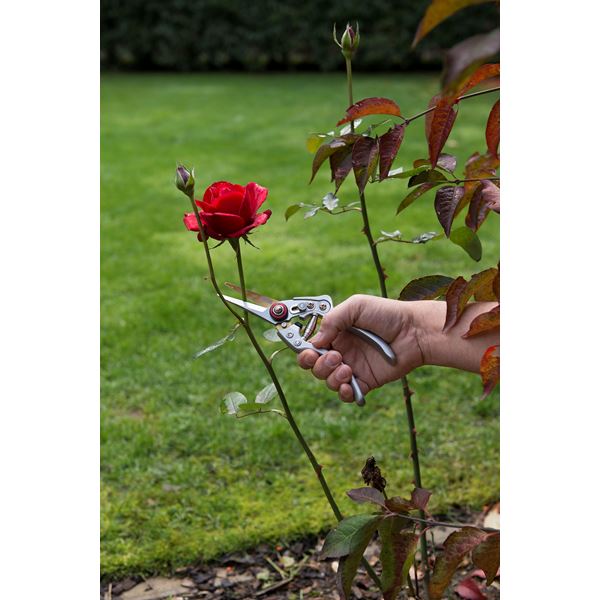 מזמרה טיטניום ראש ישר מקצועית ועמידה במיוחד 23 מ"מ KRTGR1023 Varo kreator - KnuPo