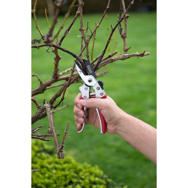 מזמרה / קוצץ ענפים לגינה מקצועית 20 מ"מ KRTGR1012 Varo kreator - KnuPo