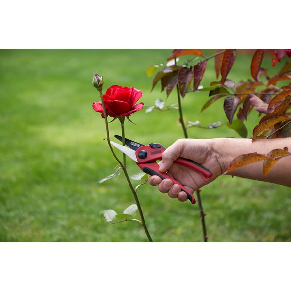 מזמרה לגינה 19 מ"מ - KnuPo