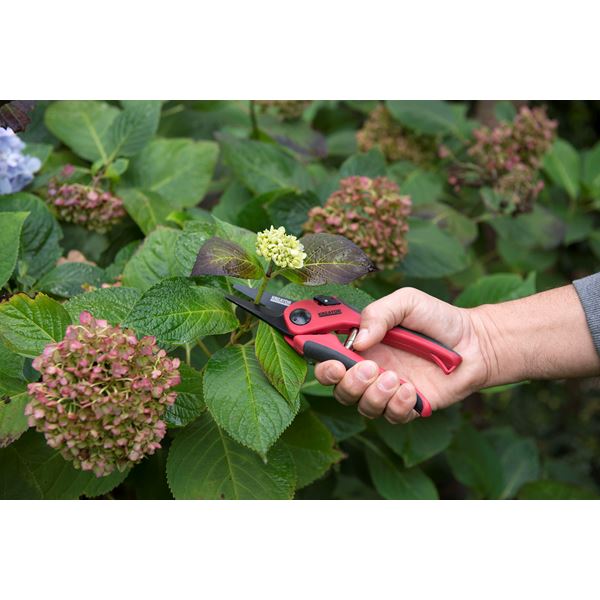 מזמרה לגינה 19 מ"מ - KnuPo