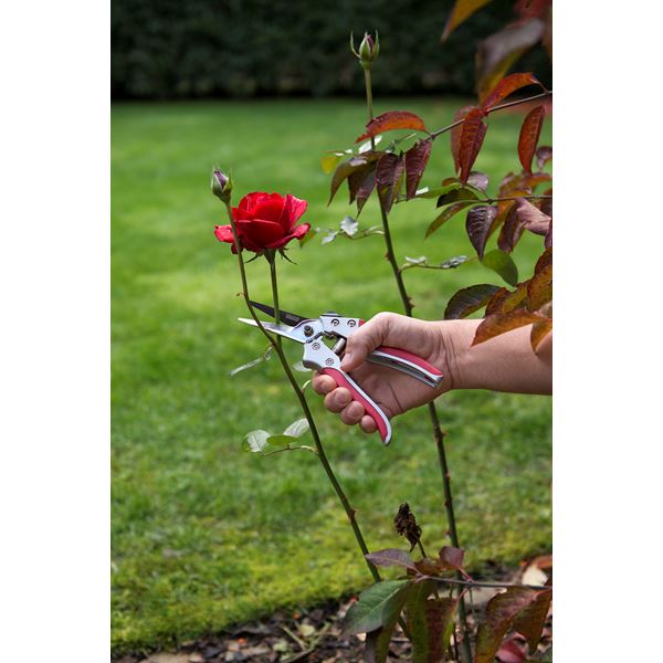 מזמרה ראש ישר מפלדת SK5 פלדה מקצועי 20 מ"מ KRTGR1013 Varo kreator - KnuPo