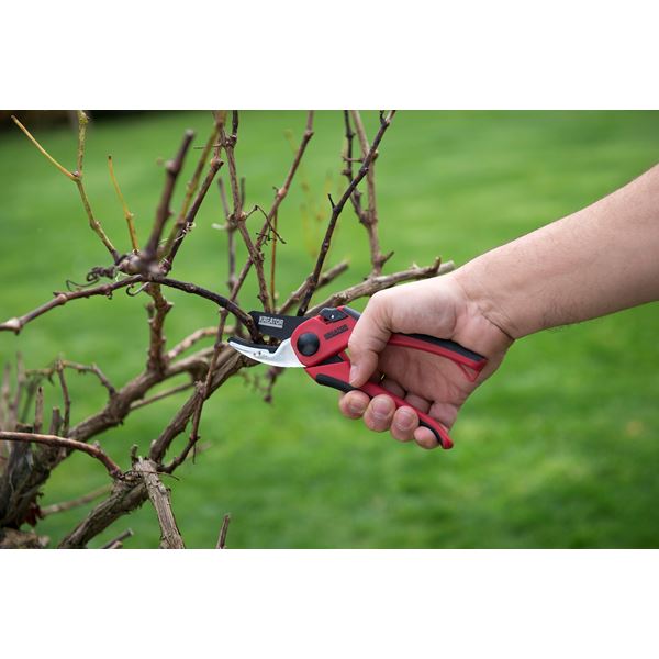 מזמרת סדן לגינה 19 מ"מ דגם KRTGR1002 - KnuPo